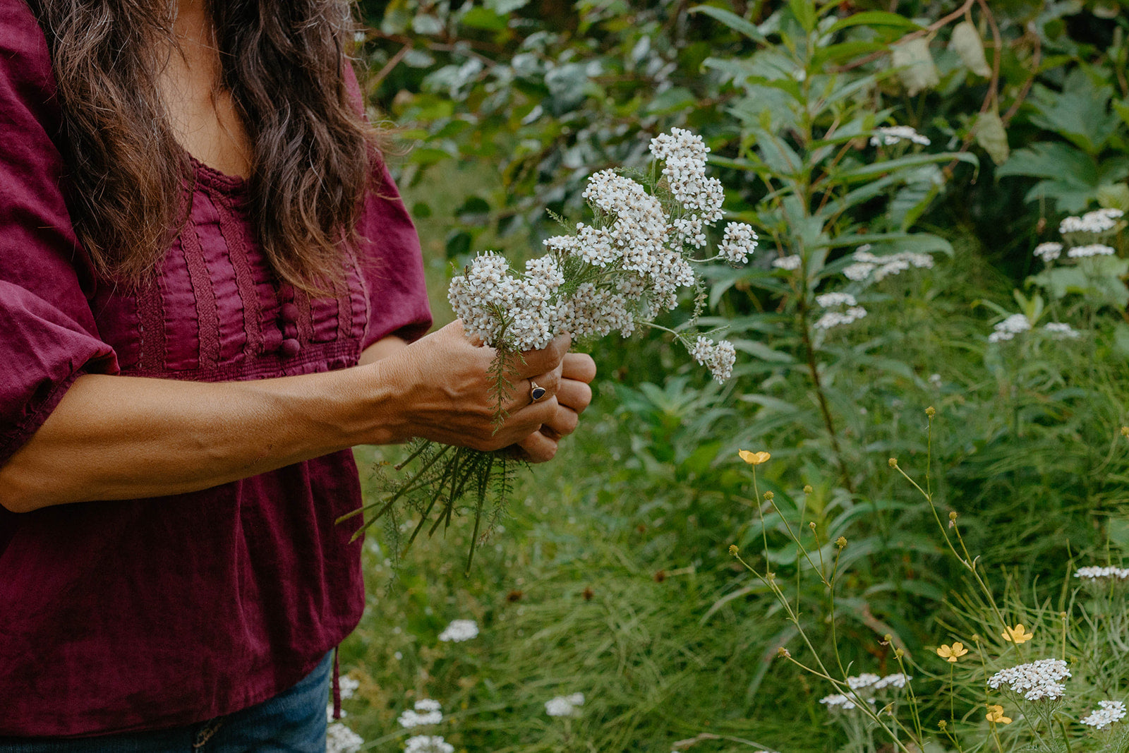 Alaska Herbal Hair Rinse, Alpenglow Skin Care
