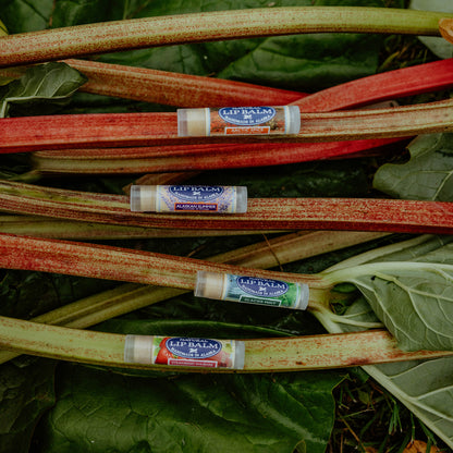 Lip Balm - Strawberry Rhubarb