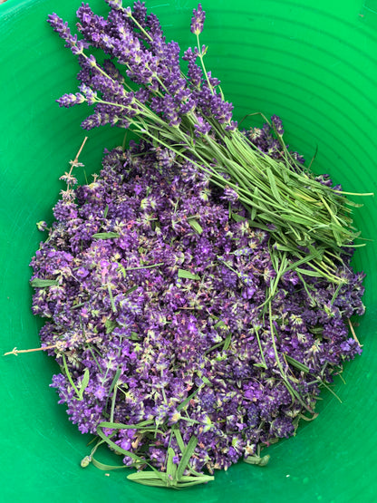 Lavender Goat Milk Soap Alpenglow Skin Care