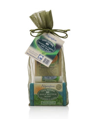 Gift Bag - Northern Lights