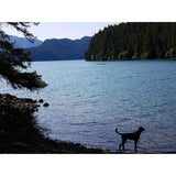Alaska's Best Insect Repellent - Alpenglow Skin Care