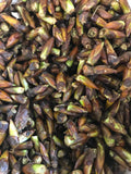 Cottonwood Balm - Alpenglow Skin Care