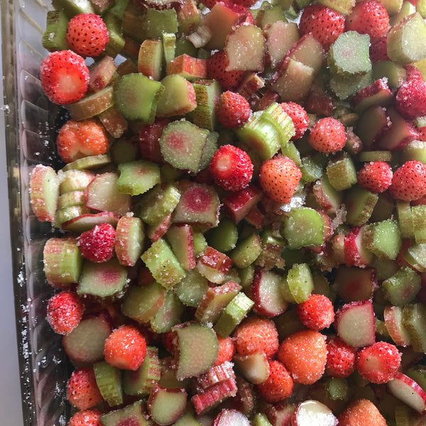 Strawberry Rhubarb Lip Balm - Alpenglow Skin Care