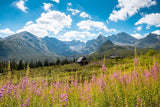 Gift Bag - Wild Alaska