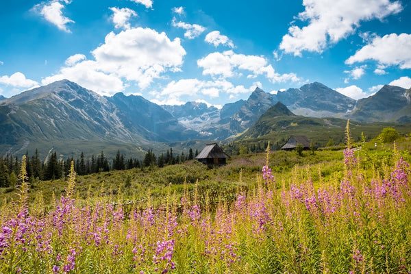 Gift Bag - Wild Alaska